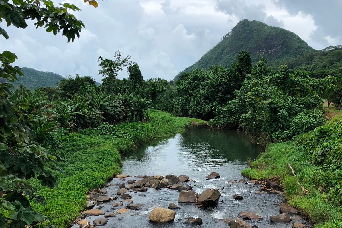 Riviere Faaroa a Raiatea